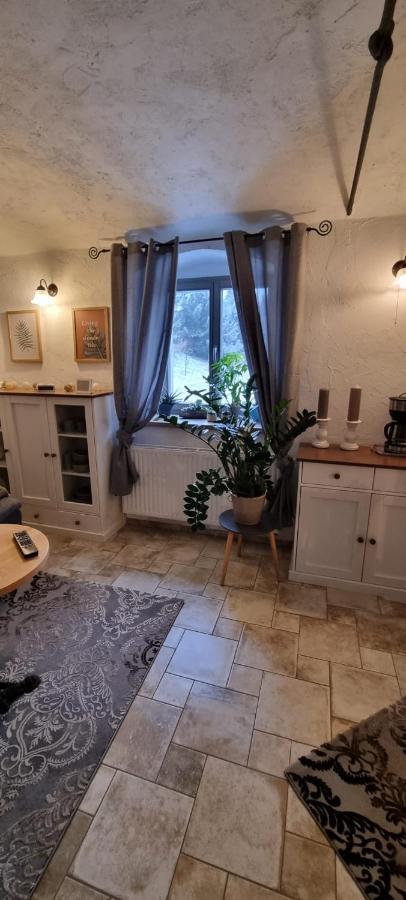 Monteur-Ferienwohnung Ot Naundorf Naundorf  Eksteriør billede