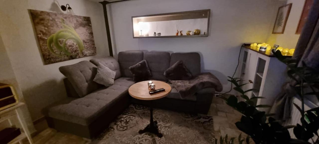 Monteur-Ferienwohnung Ot Naundorf Naundorf  Eksteriør billede