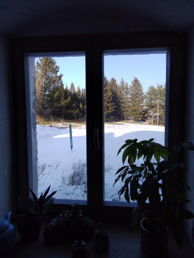 Monteur-Ferienwohnung Ot Naundorf Naundorf  Eksteriør billede